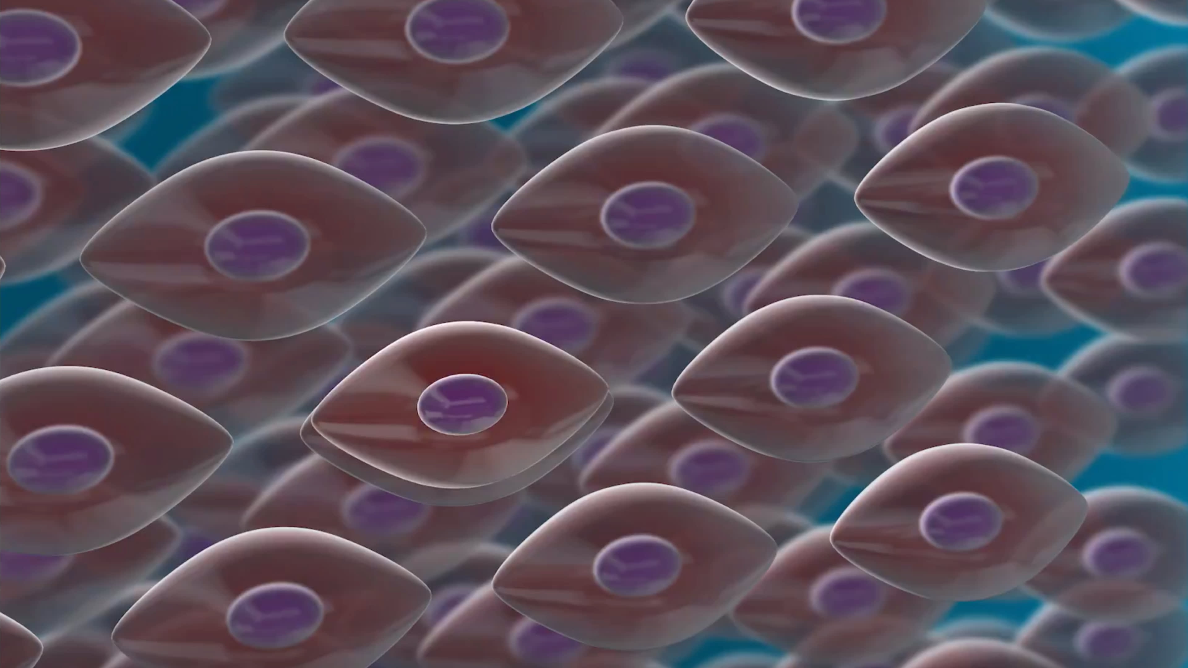 Illustration of stem cells
