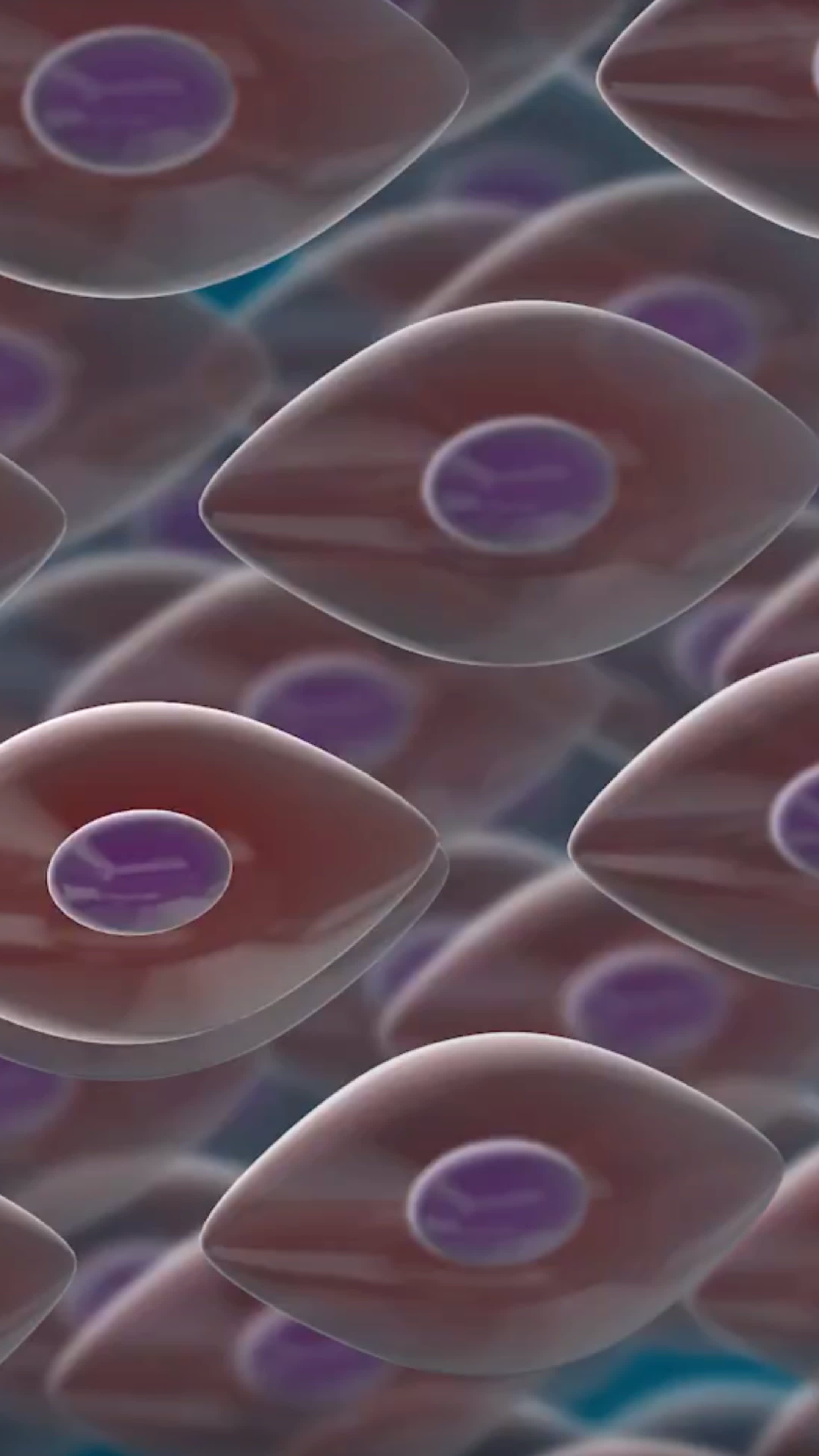 Illustration of stem cells